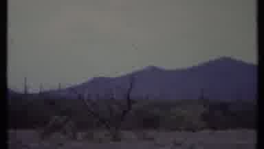California USA (1971): Mountains In Background Of Abandoned Street With Dead Trees