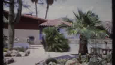 California USA (1971): Scene Pans The Back Of A Home With Exotic Plants And Trees