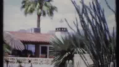 California USA (1971): A House With A Tree On The Roof And An Antenna And Orange