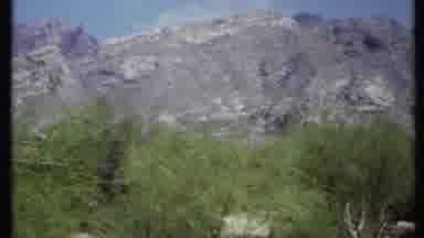 California USA (1971): Flora And Fauna A The Base Of Rugged Mountain Range