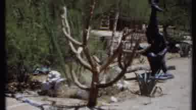 California USA (1971): A Black Iron Statue Stands In The Dirt Beside A Short Bare