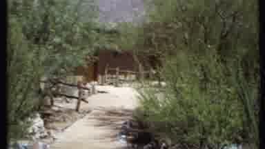 California USA (1971): Looking Down A Path And At Sculptures And Trees