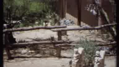 California USA (1971): Sendero De Campo Con Vallado De Palos De Madera