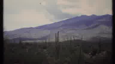 California USA (1971): Big Field Of Grass With Mountains In The Background