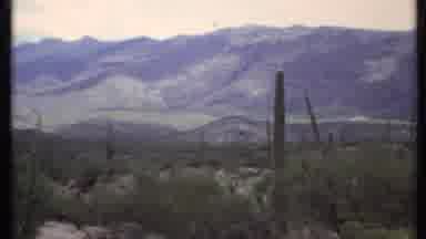 California USA (1971): A Desert Landscape With Many Cactus And A Large Mountain On