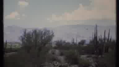 California USA (1971): Desert Landscape Dry Flora Cactus Outback Film Scenery