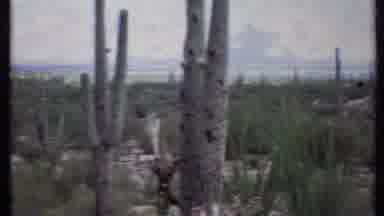 California USA (1971): Mountains Rise Around A Car That Is Parked In A Field Of