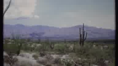 California USA (1971): Planice Totally With Mountains Just Below In An Environment
