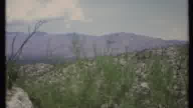 California USA (1971): Landscape With Mountains Bushes Sand Cacti And Sky During