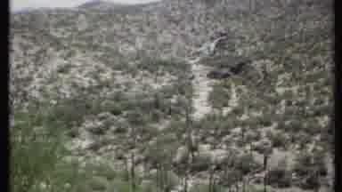 California USA (1971): Big Field That Goes On For Miles With Trees Scattered