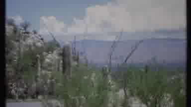 California USA (1971): A Hot Desert With Cactus And Desert Plants With A Mountain