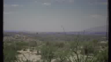 California USA (1971): Desert Shrubs And Trees On A Bright Sunny Day