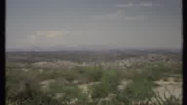 California USA (1971): Scenes Of Desert Conditions Shrubs Mountains In Distance