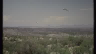 California USA (1971): Long Field Of Trees And Nature With Silhouette Of Mountains