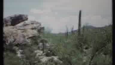 California USA (1971): Desert Like Area With Mountains Rocky Ground And Plant
