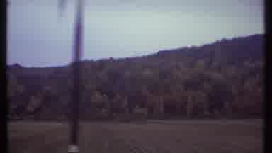Ithaca New York (1979): Traveling Past A Very Dense Forested Area On A Train Or A