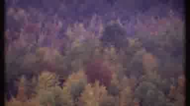 Ithaca New York (1979): Thick Mountainous Growth Showing Colorful Fall Foliage