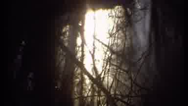 Ithaca New York (1979): People Cold Weather Forest Watching Hiking Ominous