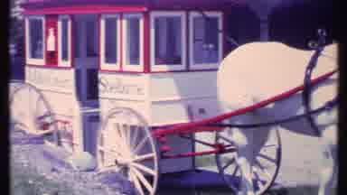 Vermont USA (1984): A Horse Attached To A Carriage Prepared To Pull