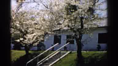 Japan (1952): Sunny Bright Peaceful Day Full Of Sunshine And Staying Busy