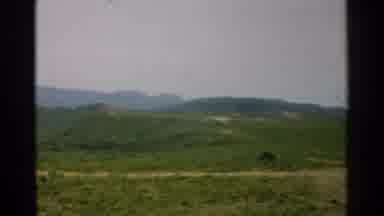 Japan (1952): Forest And Mountain Its Very Nice Place