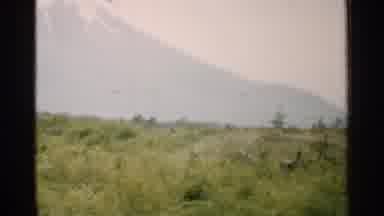 Japan (1952): Faded Blue Snow-Capped Mountain In The Background And Grassy Hill In