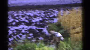 Japan (1953): A Man Is Chopping An Old Fence Down In A Field On A Small Incline