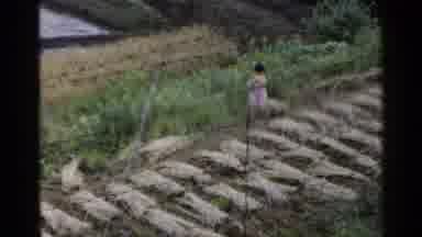 Japan (1953): Little Girl Watches From Above As Man Uses Tool To Dig