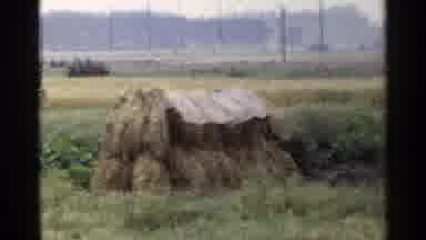 Japan (1953): A Rural Landscape Of A Road With Various Items Shown