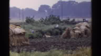 Japan (1953): Old Farm Land