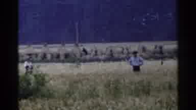 Japan (1953): Man Inspecting Field