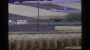 Japan (1953): Farm Life Showing Crops And Land On Large Acreage With Brush Burning
