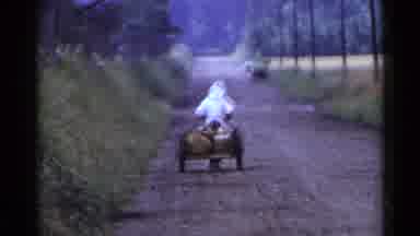 Japan (1953): Person Pulls Cart With Dog In Back Then People Gather Crops Into