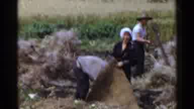 Japan (1953): Hard Working Asian Villagers Perform Farm-Work Using Tools In Fields