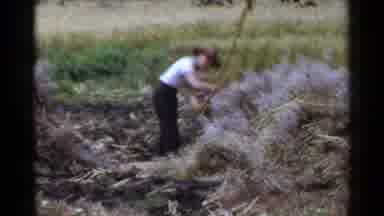 Japan (1953): Farmers Are Trying To Work Hard In Their Field
