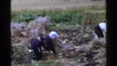 Japan (1953): Three Men And One Woman Working On A Farm Collecting Crops And