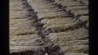 Japan (1953): Yellow Straws Apparently Drying In Large Quantities Placed Side By