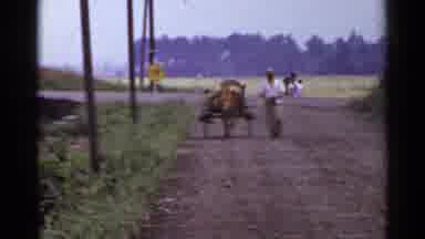 Japan (1953): Man Wearing White Shirt Walks Next To Yellow Cart On A Clear Day