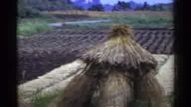 Japan (1953): Camera Pans Across The Primitive Farm Fields Lined With Grass Huts