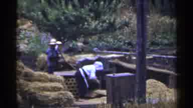 Japan (1953): Working Hard Women And A Man Standing Nearby Surrounded By Hay And