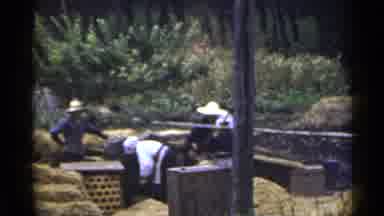 Japan (1953): A Biker Visit A Group Of Hard Working Farmer Tidying Up Their
