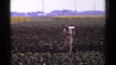 Japan (1953): Local Farmers Till Land For Crops By Hand After Burning Land For