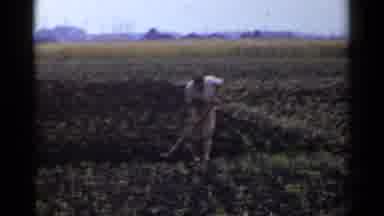 Japan (1953): Man And Woman Outside Working The Farmland With Hand Tools