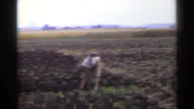 Japan (1953): Farmer Man Clearing A Plantation Area