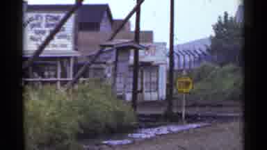 Japan (1953): Road And Yellow Flowers