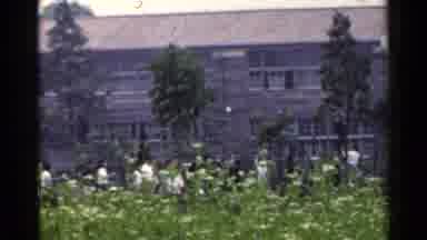Japan (1953): White Flowers And Brown Wooden Building On A Sunny Day