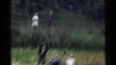 Japan (1953): Farmers Hectares Farm Vegetable Plants Busy Time
