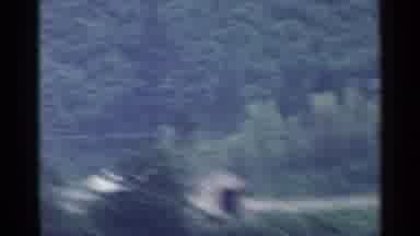 Japan (1953): Zoomed In View From A Moving Vehicle While Passing Trees And