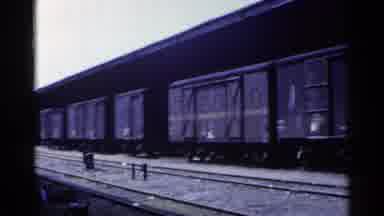 Japan (1953): Train Station Where A Freight Train Is Stopped