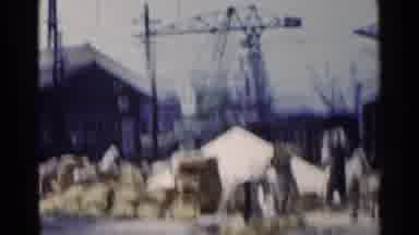 Japan (1953): People Loading Sacks Onto Train On A Sunny Day